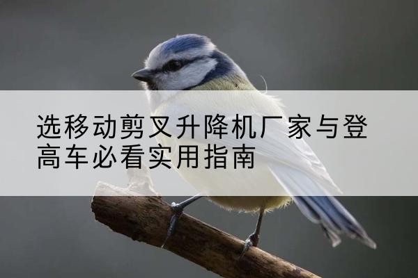 青县电动升降机厂家-选移动剪叉升降机厂家与登高车必看实用指南