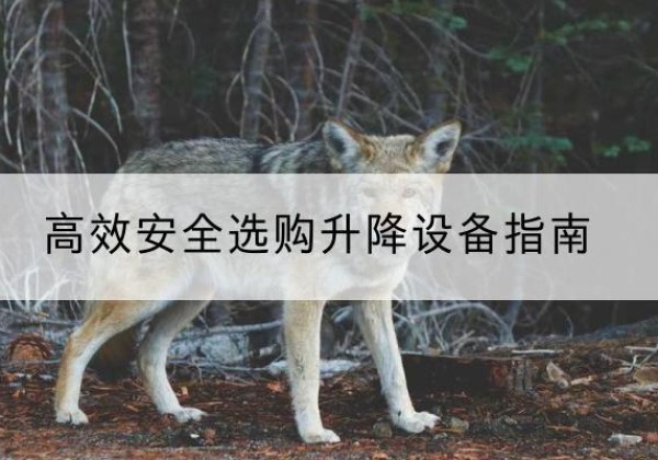 青县升降货梯厂家推荐-*安全选购升降设备指南