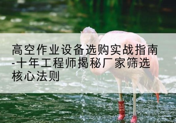 青县剪叉式升降机厂家-高空作业设备选购实战指南-十年工程师揭秘厂家筛选核心法则